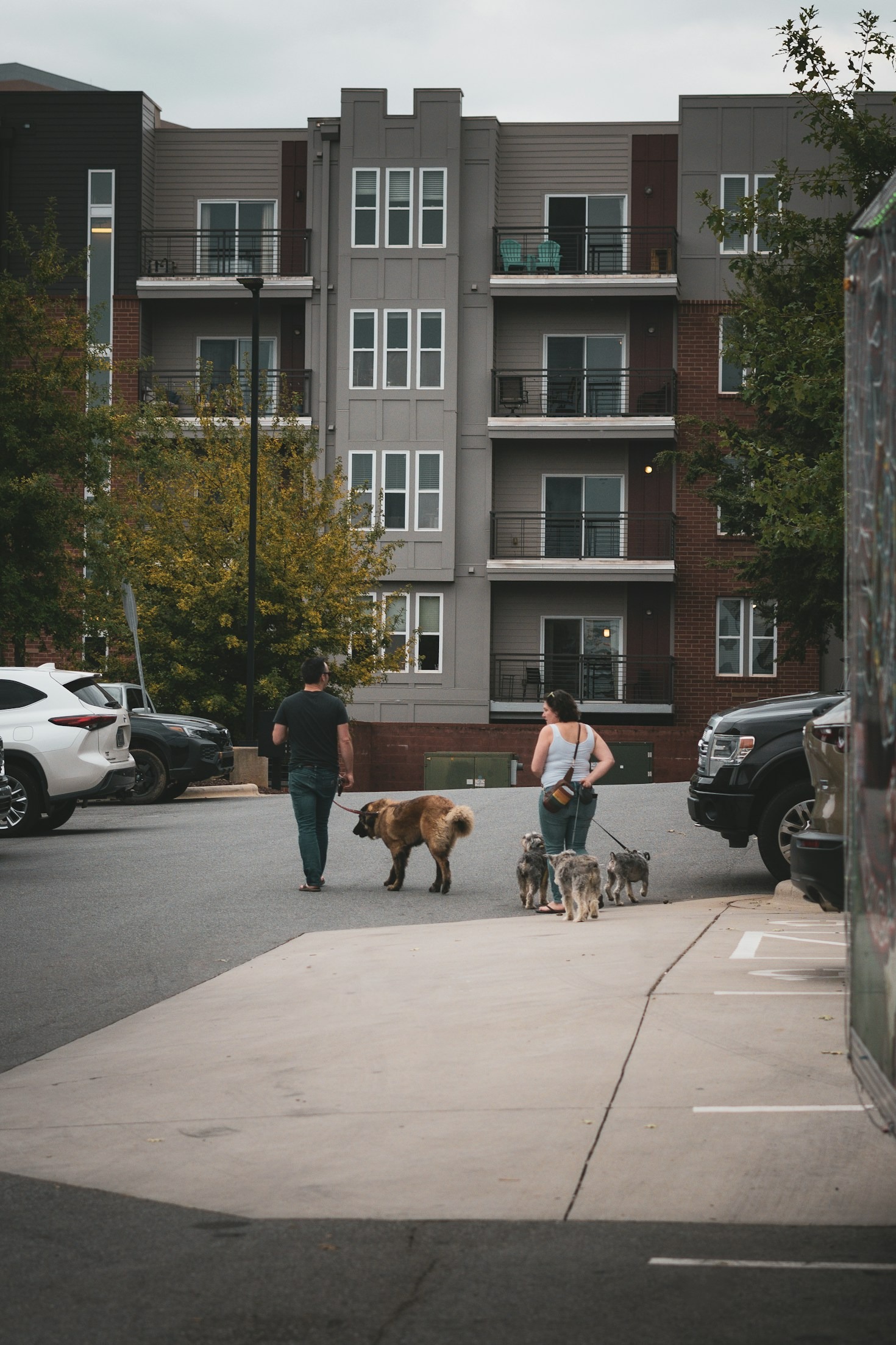 Os Melhores Métodos de Treinamento para Apartamentos